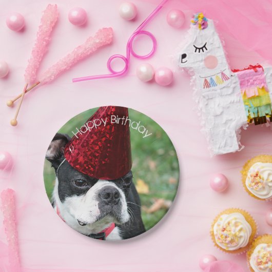 Boston Terrier Pappteller (Party)