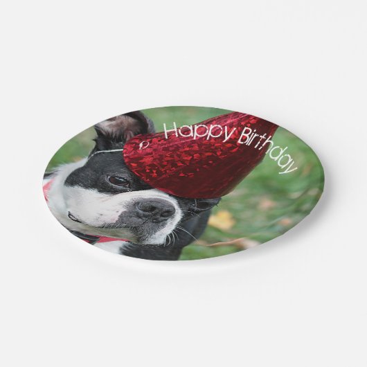 Boston Terrier Pappteller (Schrägansicht)