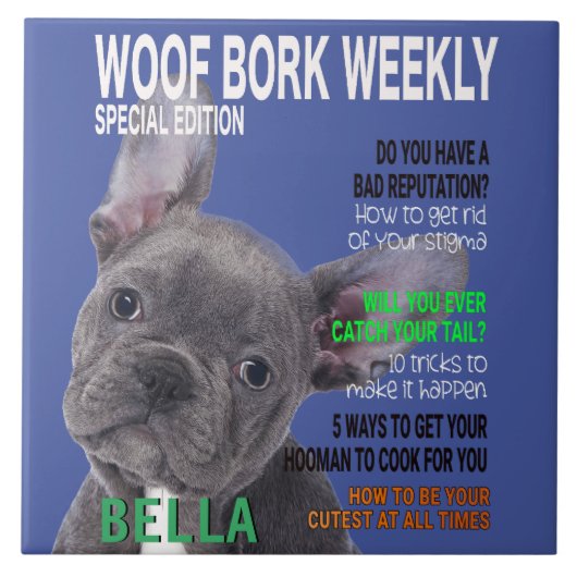 Boston Terrier Parody Magazine Cover Fliese (Vorderseite)