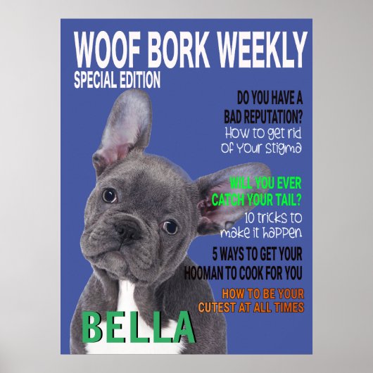 Boston Terrier Parody Magazine Cover Poster (Vorne)