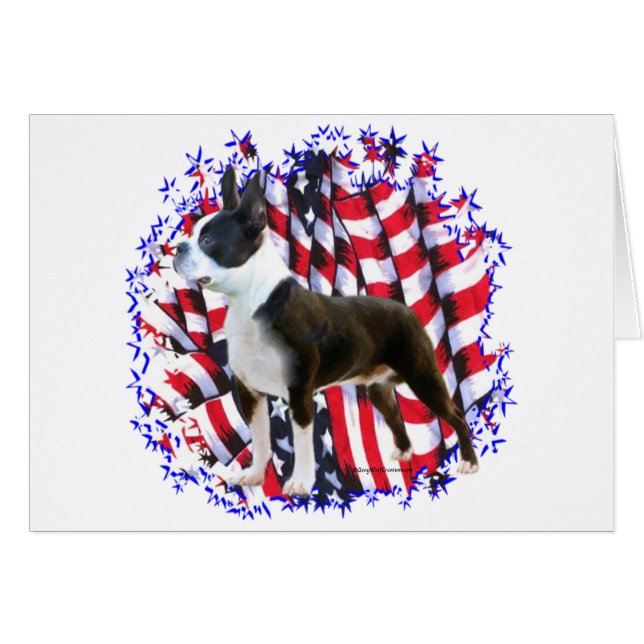 Boston Terrier Patriot (Vorderseite (Horizontal))