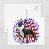 Boston Terrier Patriot Postkarte (Vorne/Hinten)