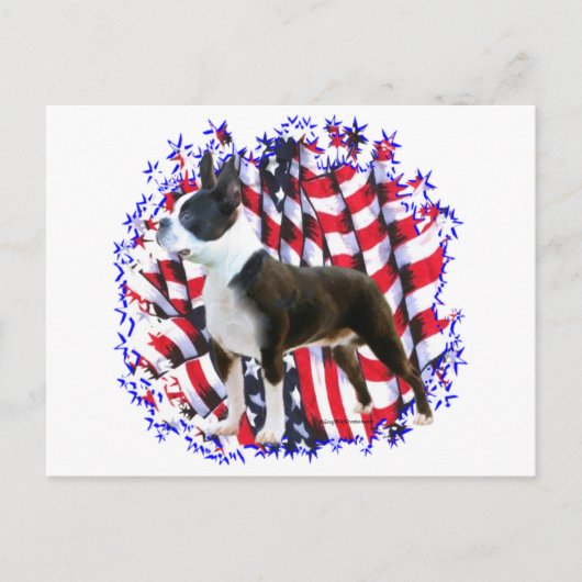 Boston Terrier Patriot Postkarte (Vorderseite)