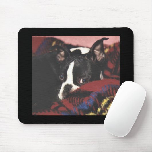 Boston Terrier:  Peekaboo Mousepad (Mit Mouse)
