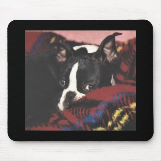 Boston Terrier: Peekaboo Mousepad (Vorne)