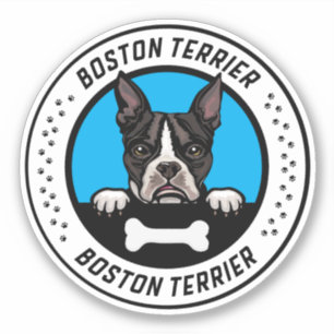 Boston Terrier Peeking Illustration Abzeichen Aufkleber