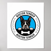 Boston Terrier Peeking Illustration Abzeichen Poster (Vorne)