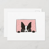 Boston Terrier Peeking Postkarte (Vorne/Hinten)