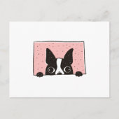 Boston Terrier Peeking Postkarte (Vorderseite)