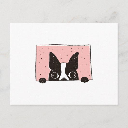 Boston Terrier Peeking Postkarte (Vorderseite)