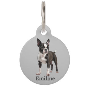 Boston Terrier Personalize Haustiermarke