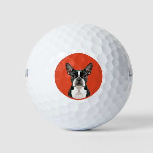 Boston Terrier Pet Theme Golfball (Vorderseite)