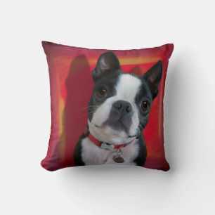 Boston Terrier Pillow Kissen