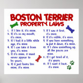BOSTON TERRIER PL2 POSTER (Vorne)