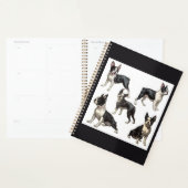 Boston Terrier Planer (Anzeige)