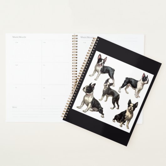 Boston Terrier Planer (Anzeige)