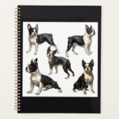Boston Terrier Planer (Vorderseite)