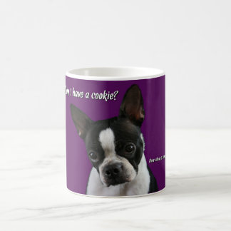 Boston Terrier: Plätzchen bitte? Kaffeetasse