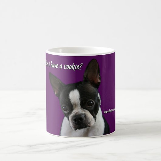 Boston Terrier:  Plätzchen bitte? Kaffeetasse (Mittel)