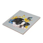 Boston Terrier Play Day Fliese (Seite)