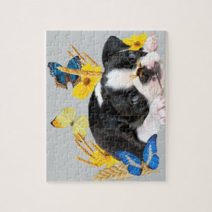 Boston Terrier Play Day Puzzle
