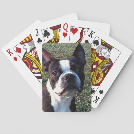 Boston_Terrier.png Spielkarten (Rückseite)