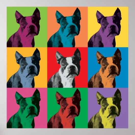 Boston Terrier Pop-Art-Poster Poster (Vorne)
