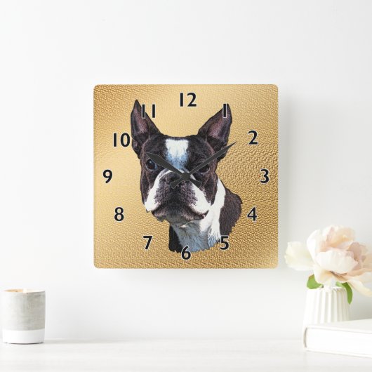 Boston Terrier Portrait Quadratische Wanduhr (Zuhause)