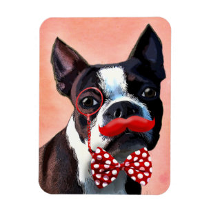 Boston-Terrier-Porträt mit roter Bogen Krawatte Magnet