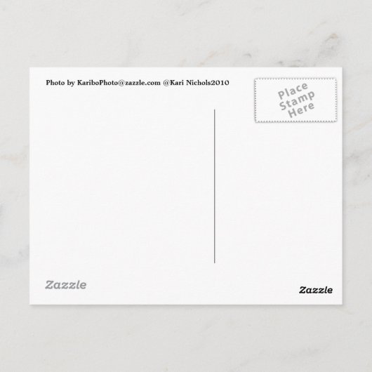 Boston Terrier Post Card Phhhhhtt! Postkarte (Rückseite)