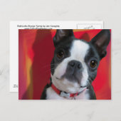 Boston Terrier Post Card Postkarte (Vorne/Hinten)