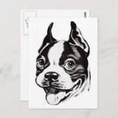 Boston Terrier Postcard Postkarte (Vorne/Hinten)