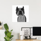 Boston Terrier Poster (Heimbüro)