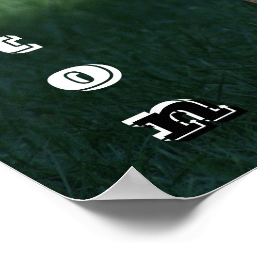 Boston Terrier Poster (Ecke)