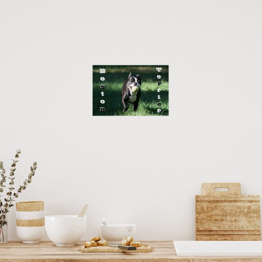 Boston Terrier Poster (Küche)