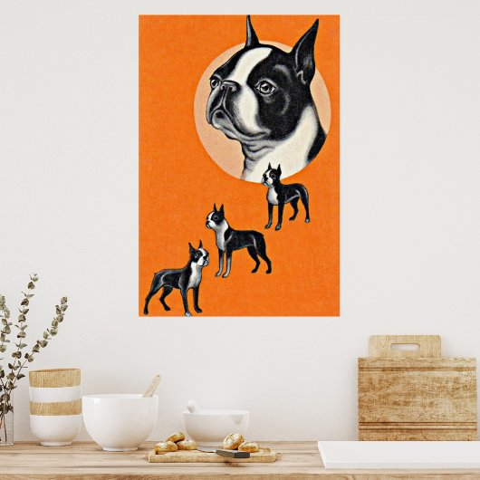 Boston Terrier Poster (Küche)
