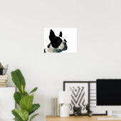 Boston Terrier Poster (Heimbüro)