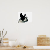 Boston Terrier Poster (Küche)