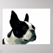 Boston Terrier Poster (Vorne)
