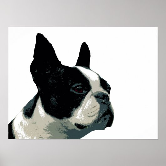 Boston Terrier Poster (Vorne)