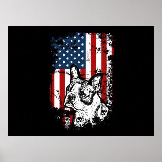 Boston Terrier Poster (Vorne)