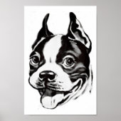 Boston Terrier Poster (Vorne)