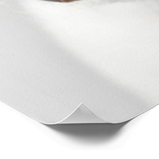 Boston Terrier Poster (Ecke)