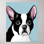 Boston Terrier Posters Poster (Vorne)
