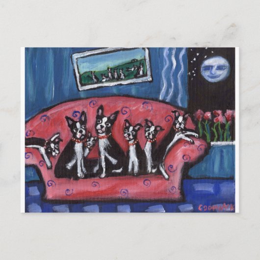 Boston Terrier Postkarte (Vorderseite)