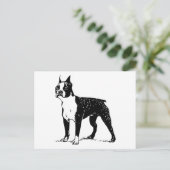 Boston Terrier Postkarte (Stehend Vorderseite)