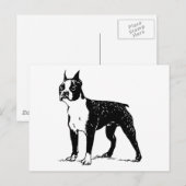 Boston Terrier Postkarte (Vorne/Hinten)