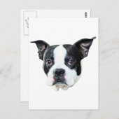 Boston Terrier Postkarte (Vorne/Hinten)