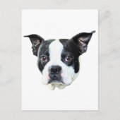 Boston Terrier Postkarte (Vorderseite)