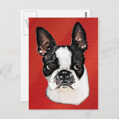 Boston Terrier Postkarte (Vorne/Hinten)